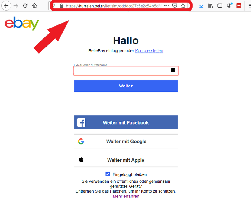 Die gefälschte ebay-Website zur Beantwortung angeblicher Anfragen