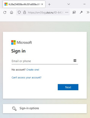 Screenshot der nachgeahmten Microsoft-Login Seite