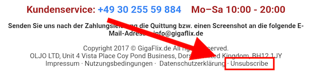Am Ende der Rechnung von bigflix.de und gigaflix.de können Sie den Erhalt zukünftiger Rechnungen abbestellen.