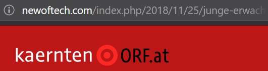 Die Adresszeile zeigt an, dass Besucher/innen nicht auf orf.at, sondern auf newoftech.com/index.php/2018/11/25(…) sind.